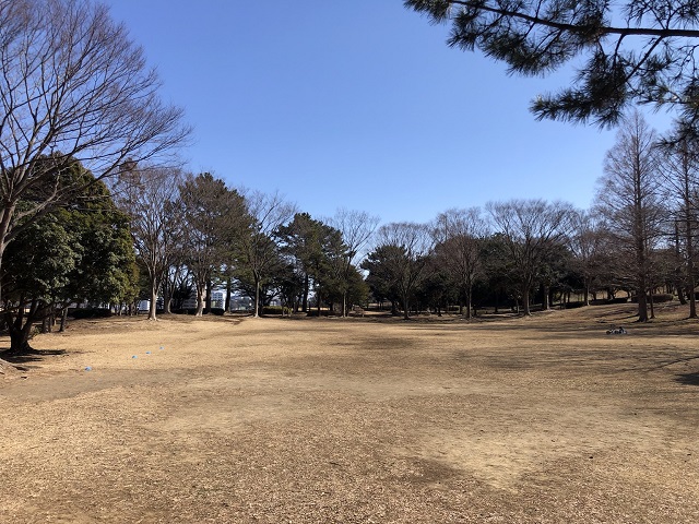 広い公園